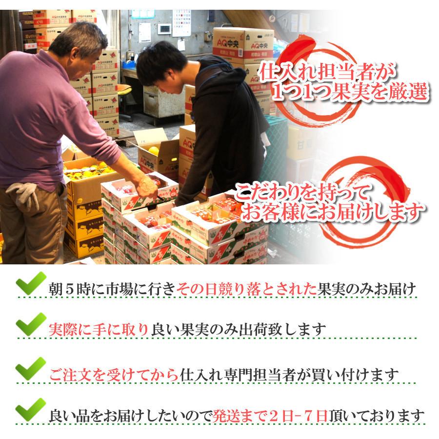 サンふじ りんご 青森県産 赤秀 通販 旬 食べ物 果物 2022 蜜入り 送料無料 サン富士 大玉 1月 旬 果物 林檎【3.5kg 化粧箱】｜e-mpress｜07