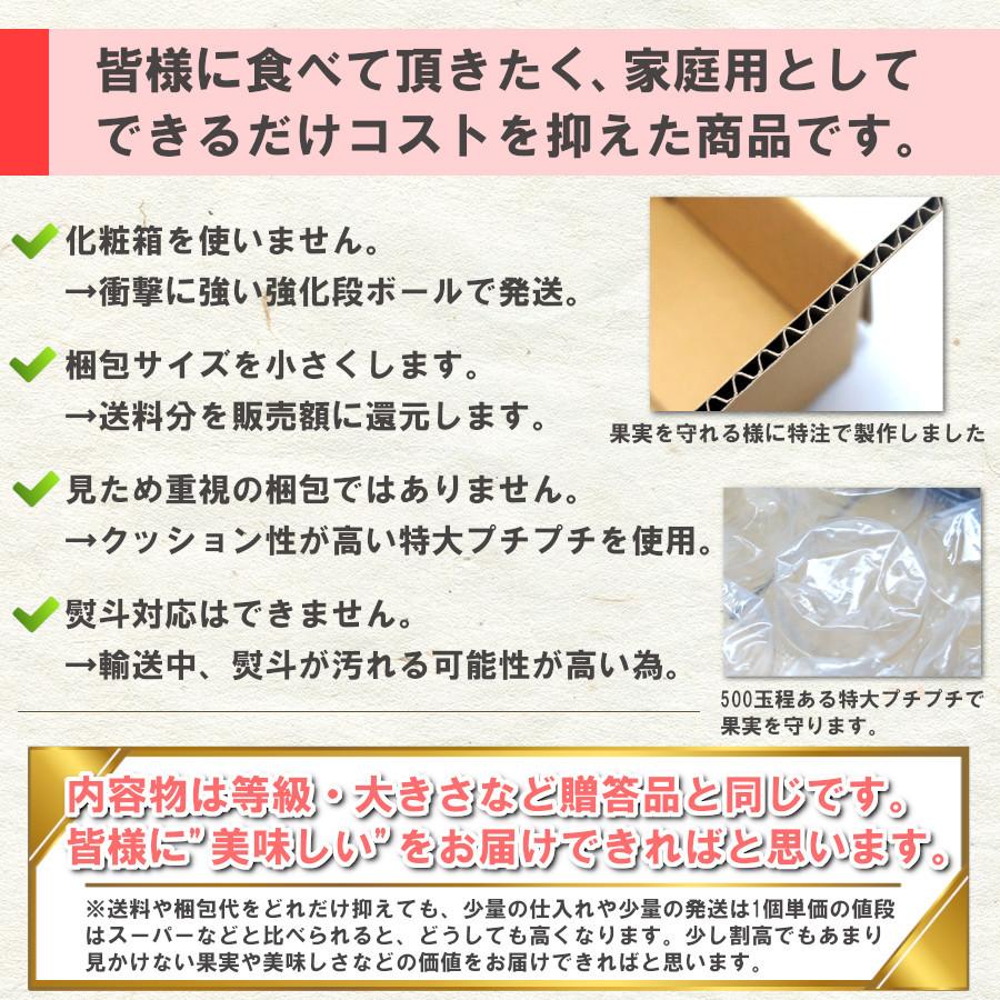 【お試し 家庭用 少量 4玉】サンふじ りんご 青森県産 赤秀 通販 蜜入り 送料無料 サン富士 大玉 旬 果物 林檎｜e-mpress｜09