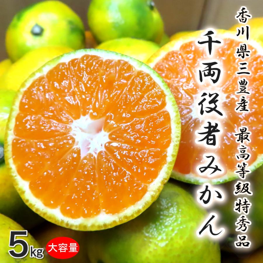 みかん 甘い 5kg 特秀品 小玉 早生種 三豊 温州ミカン 10月 果物 みかん 甘い 5kg 特秀品 小玉 早生種 三豊 温州ミカン 10月 果物