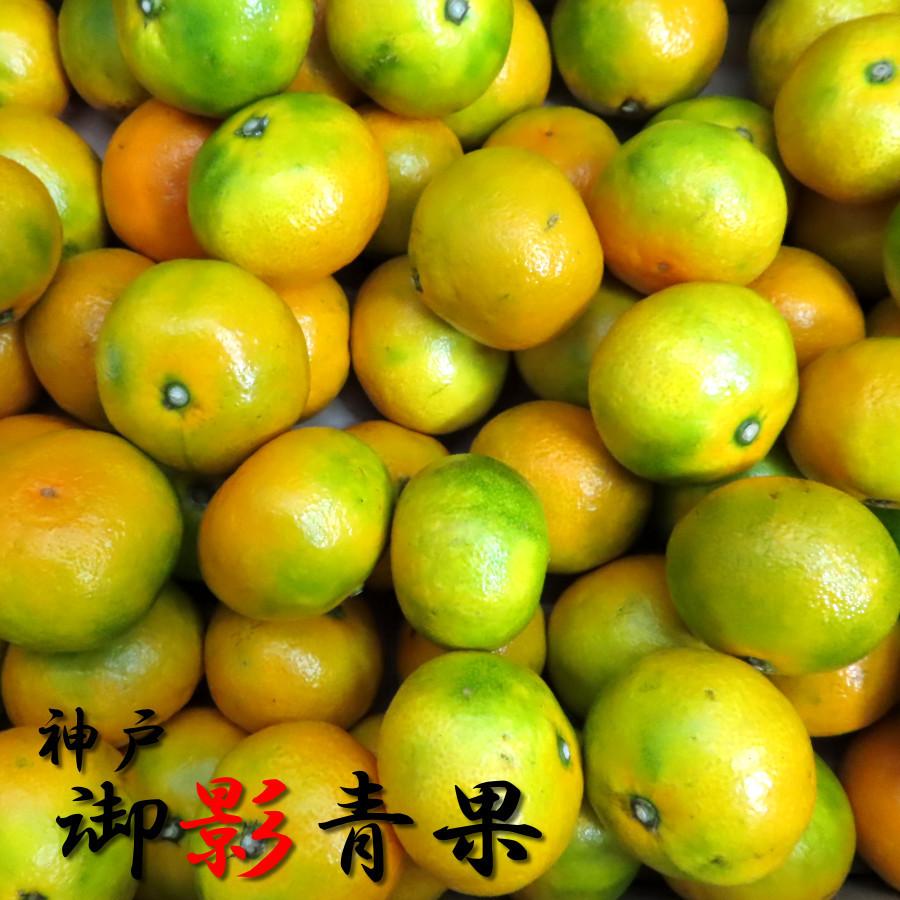 みかん 甘い 5kg 特秀品 小玉 早生種 三豊 温州ミカン 10月 果物 みかん 甘い 5kg 特秀品 小玉 早生種 三豊 温州ミカン 10月 果物