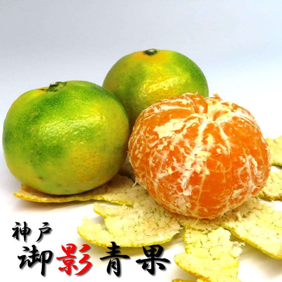 みかん 甘い 5kg 特秀品 小玉 早生種 三豊 温州ミカン 10月 果物 みかん 甘い 5kg 特秀品 小玉 早生種 三豊 温州ミカン 10月 果物