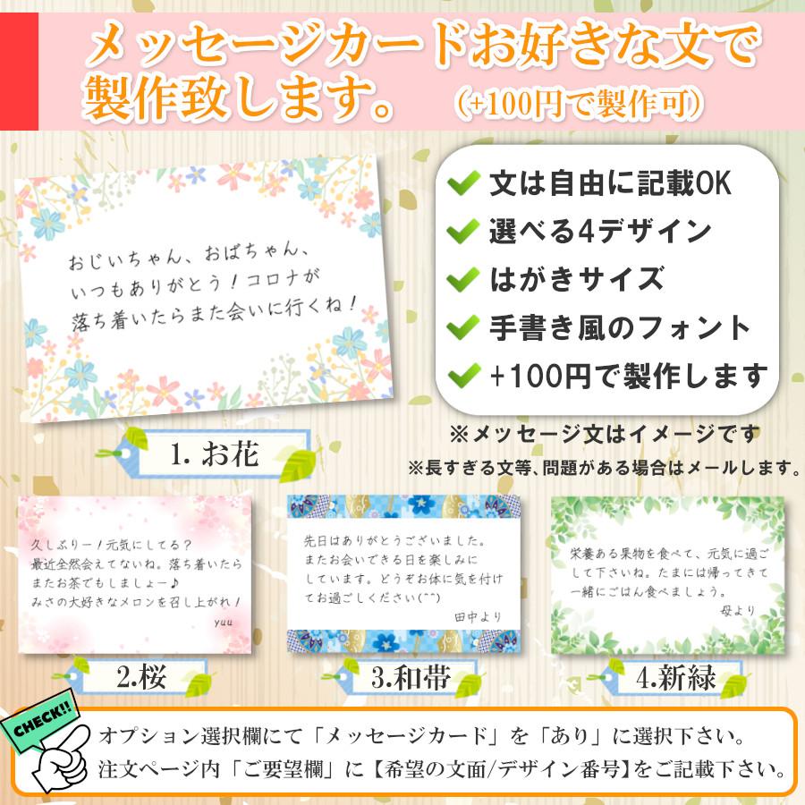 新甘泉 しんかんせん 梨 甘い 赤秀品 高糖度 6玉 化粧箱 鳥取県