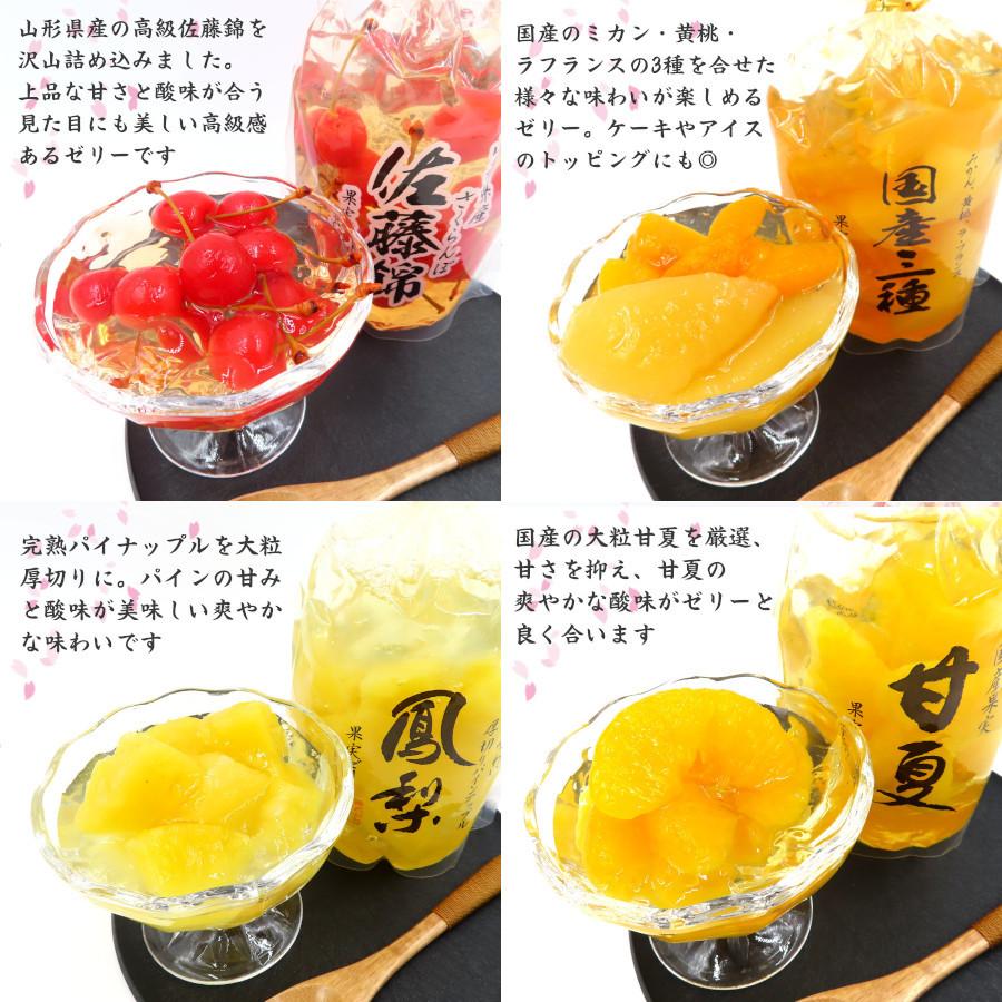 サンヨー堂 果物ゼリー ゼリー 詰合せ 御歳暮 2025 ギフト 高級 宝石