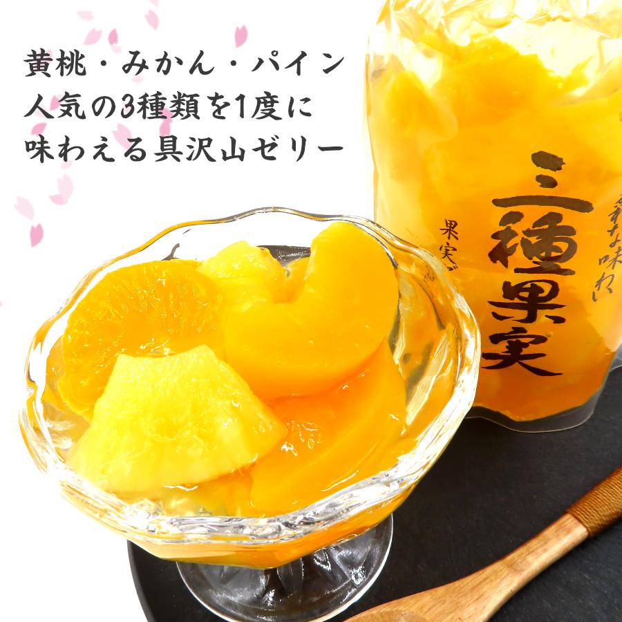 サンヨー堂 果物ゼリー ゼリー 詰合せ 2026 ギフト 高級 宝石 フルーツ