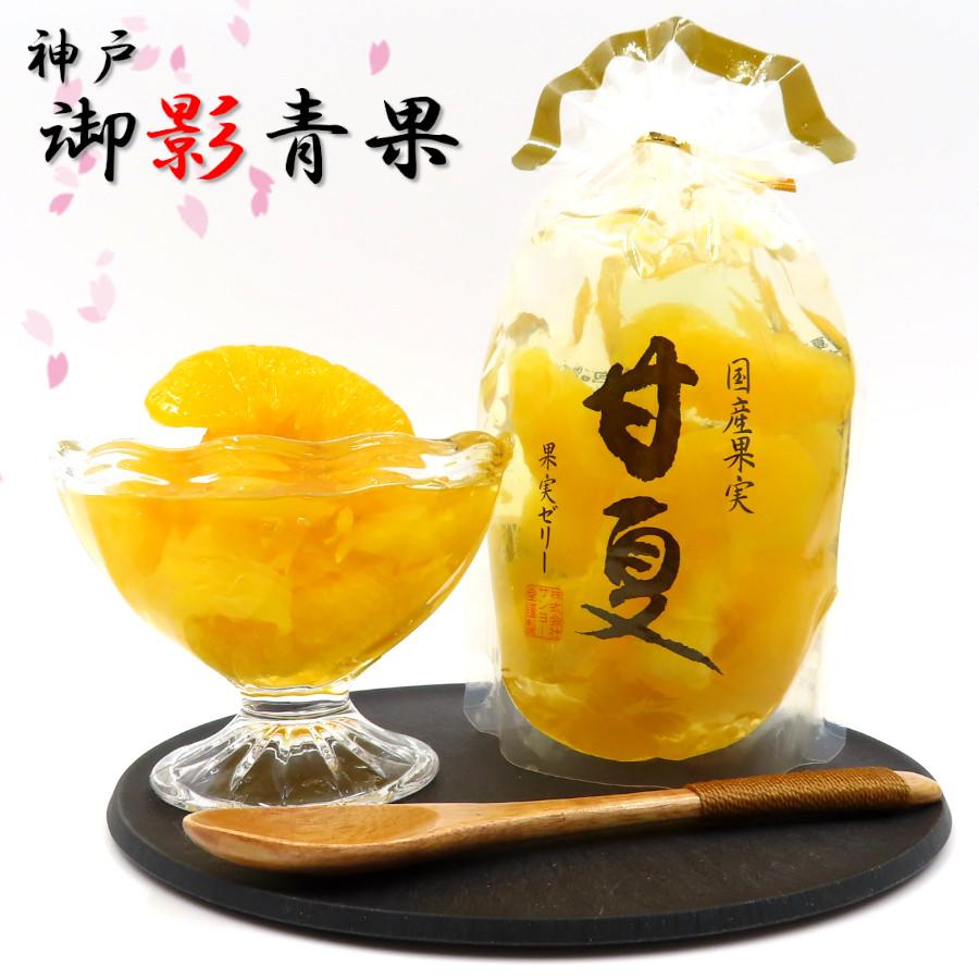 サンヨー堂 果物ゼリー ゼリー 詰合せ 御中元 お供え 2025