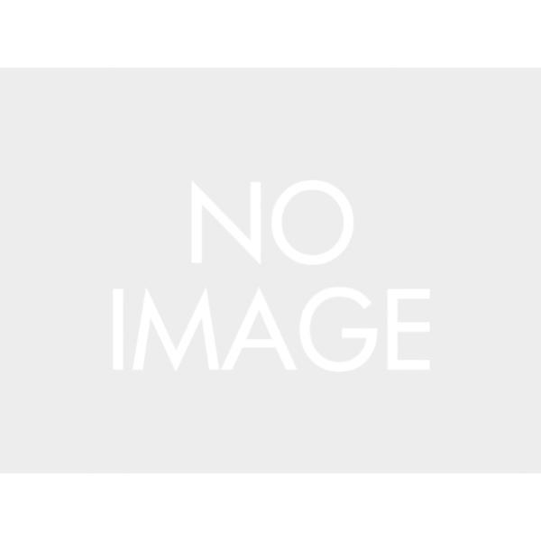 DAYTONA（バイク用品） - デイトナ（DAYTONA）GIVISR1178CRF1100L(19)/17073