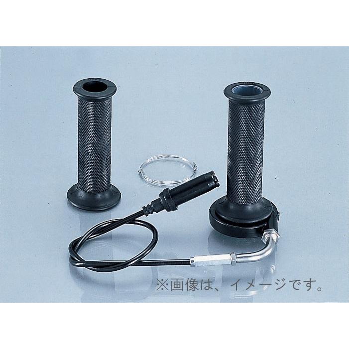 ハイゴケ　10枚セット ハイゴケ 10枚セット