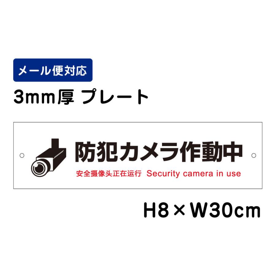 防犯カメラ作動中 24H Security camera in use ピクト表示 /H8×W30cm プレート 看板 進入禁止 注意喚起 防犯対策  ATT-006 | ブランド登録なし