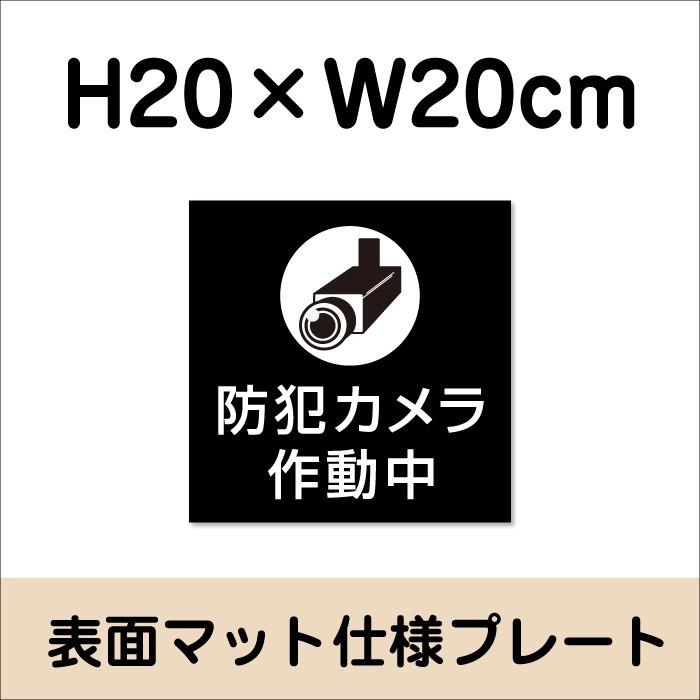 防犯カメラ作動中プレート 看板【マットブラック】H20×W20cm シルバー
