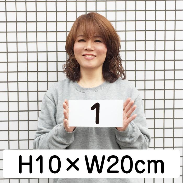 駐車場 番号 プレート H100×W200ミリ 番号札 ナンバープレート 看板 CN