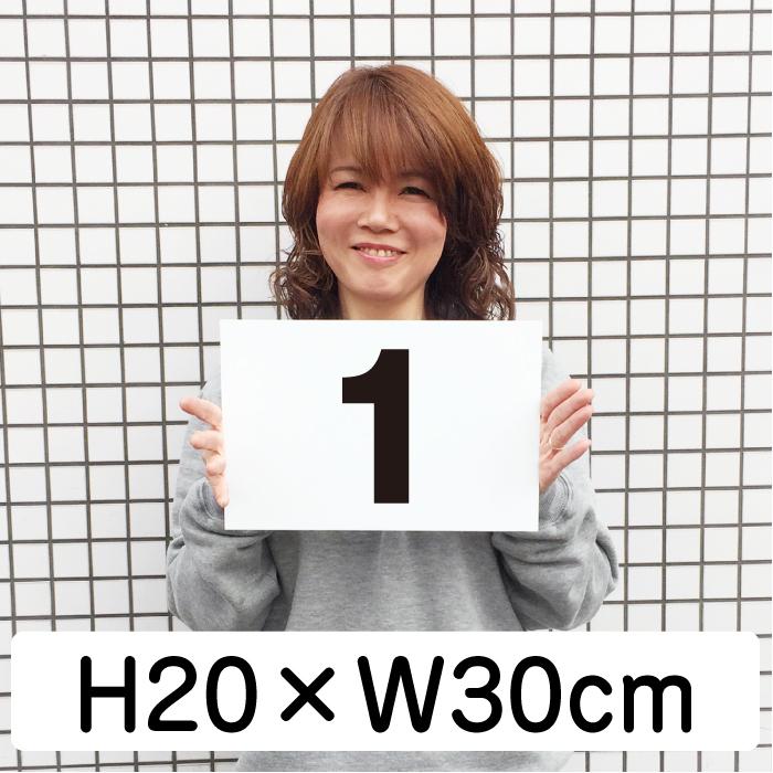 ヨシミリアーアンダーカバーとナンバープレート敷板2点セット 51fl4-EpCVL._UF350,350_QL50_.jpg