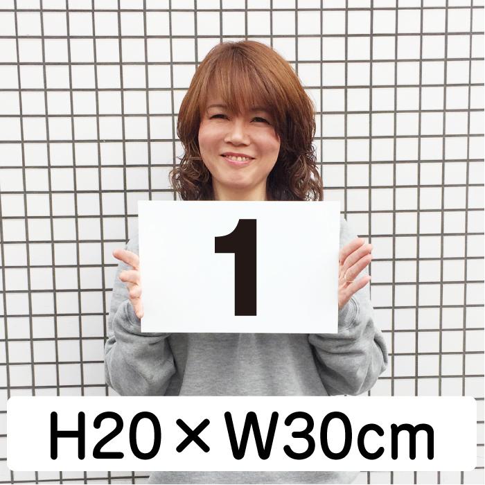 駐車場 番号 プレート H200×W300ミリ 番号札 ナンバープレート 看板 CN-102｜e-netsign｜02