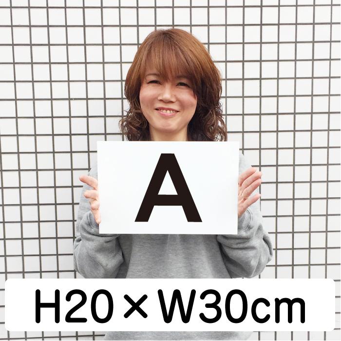 駐車場 アルファベット プレート H200×W300ミリ 看板 番号札 英字 CN