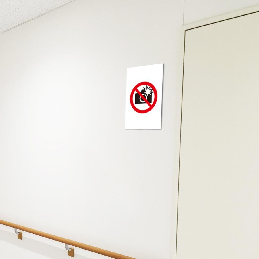 フラッシュ撮影禁止 ピクトサイン H250×W165mm ピクトグラム マーク 注意プレート 看板 フラッシュ禁止 mark-04 | ブランド登録なし | 01
