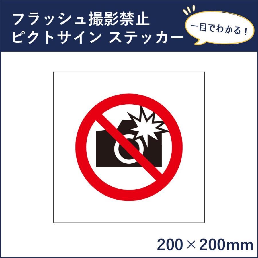 フラッシュ撮影禁止 ピクトサイン H200×W200mm ピクトグラム マーク