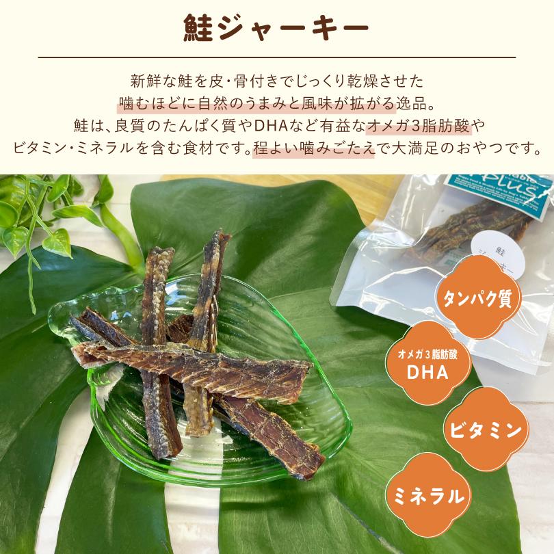 犬 おやつ 無添加 国産 鮭ジャーキー 65g Mサイズ 鮭 皮 身 骨付き 硬め タンパク質 犬のおやつ 犬用  ペットおやつ ドックステーブルプラス sw-22 |  | 01