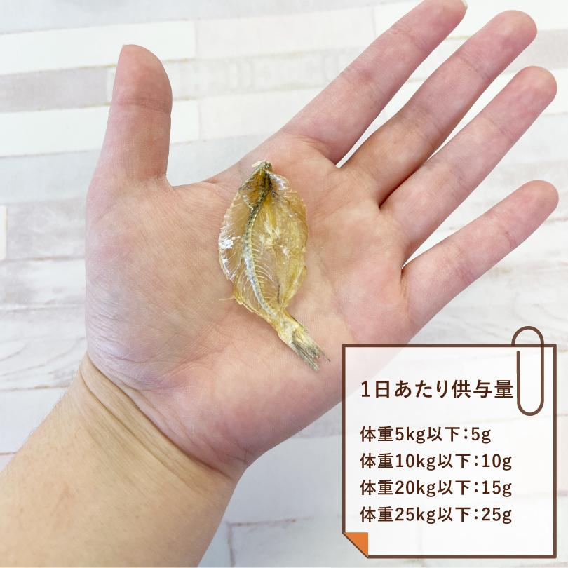 犬 おやつ 無添加 国産 ヒメゴせんべい 40g カルシウム ヒメゴ 白イワシ  魚 犬のおやつ 犬用  ペットおやつ ドックステーブルプラス sw-28 |  | 02