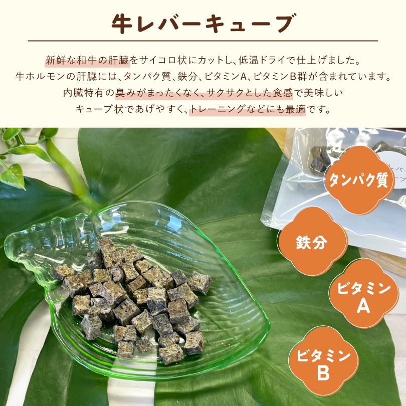 犬 おやつ 無添加 国産 牛レバーキューブ 40g 和牛 トレーニング ビタミン 鉄分 小粒 犬のおやつ  犬用 ドッグフード ペット ドックステーブルプラス sw-43 |  | 01