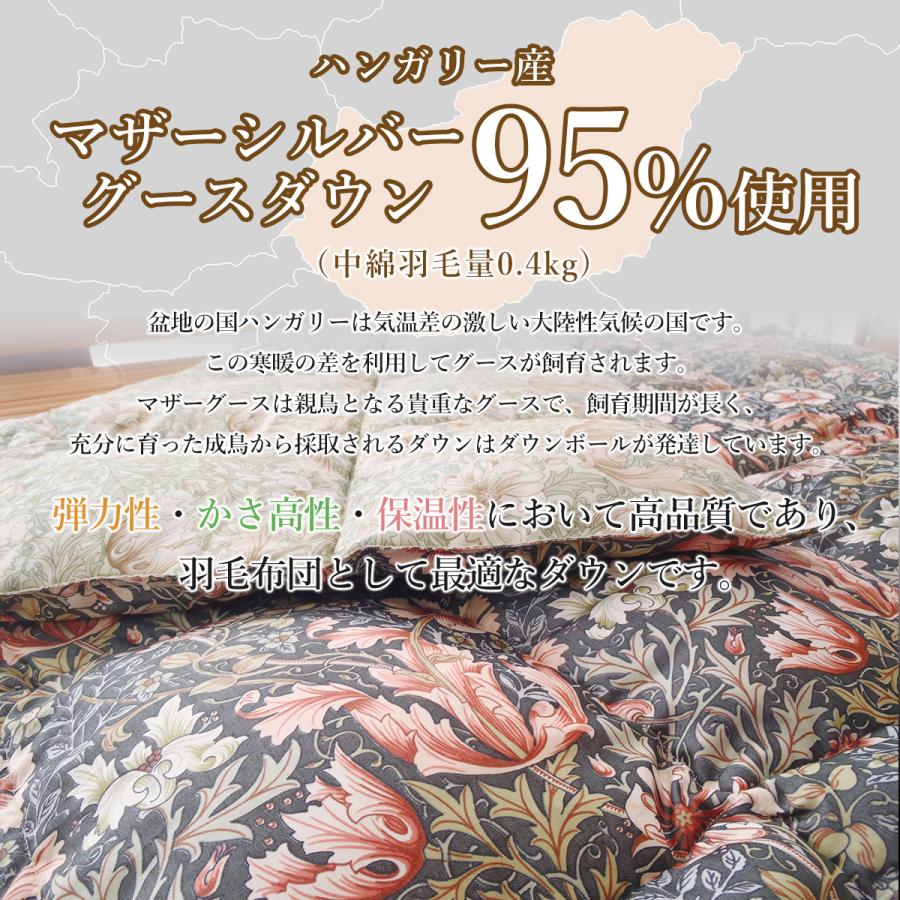 ロマンス小杉 羽毛肌掛け布団 ダブル 薄手 ダウンケット 日本製 羽毛肌ふとん ハンガリー産マザーグースダウン_2