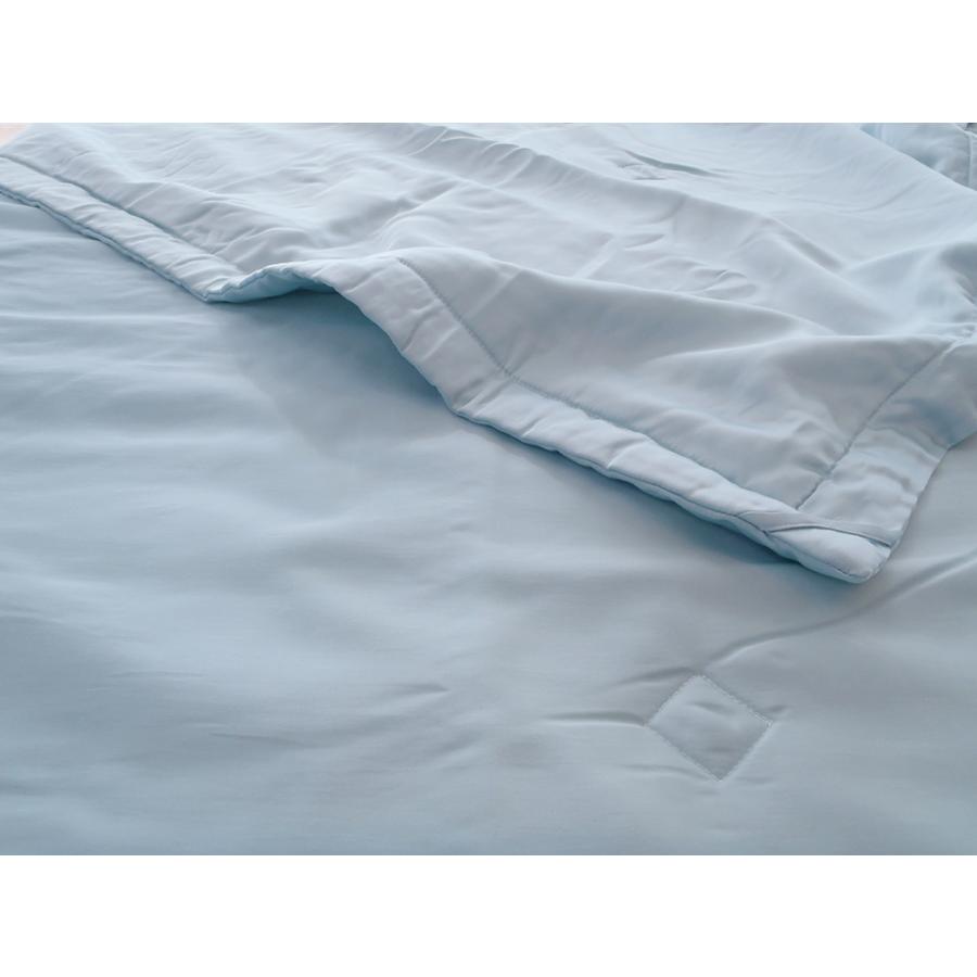 西川（nishikawa） シングル 真綿肌掛け布団 シルク肌布団 洗える