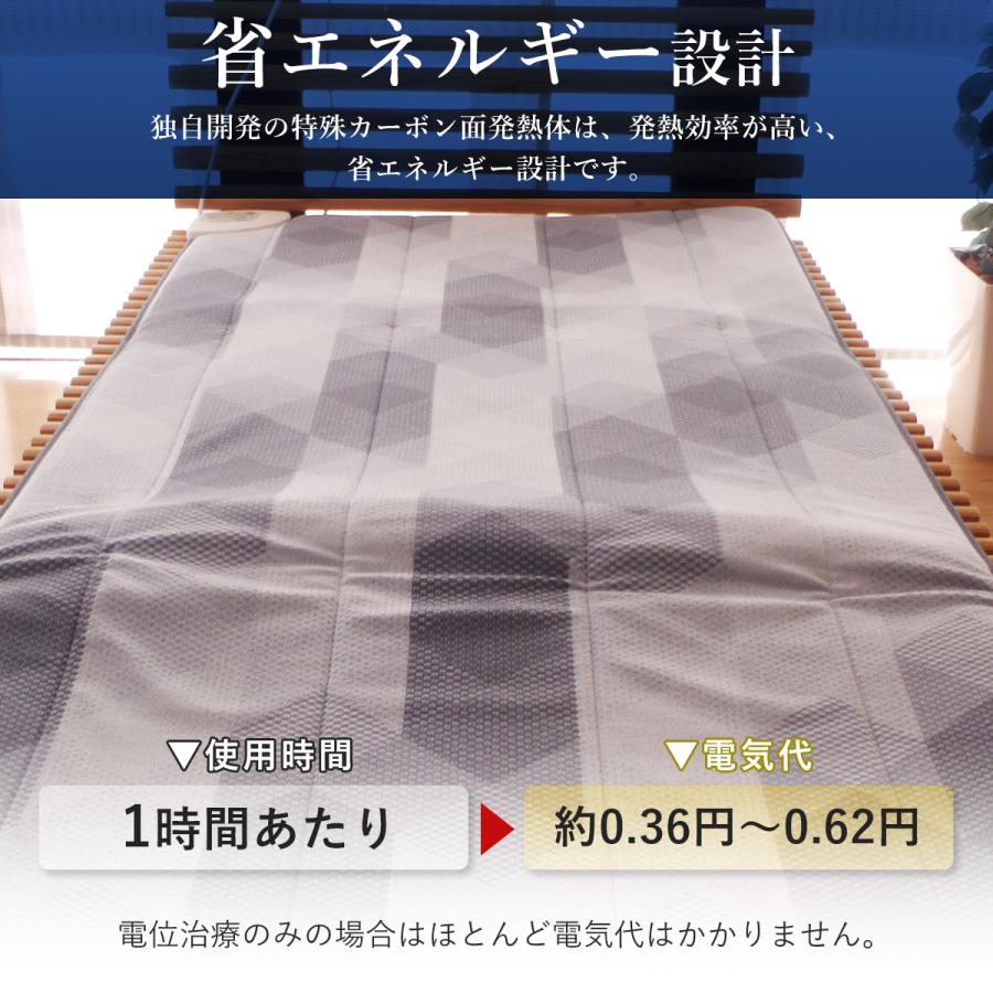 西川（nishikawa） ローズテクニー 京都西川テクニー 健康管理 温熱 