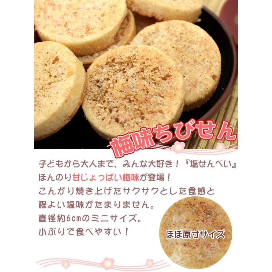 ☆安心の定価販売☆】 梅味ちびせん 10枚 丸真 沖縄お土産 お菓子 wantannas.go.id ☆安心の定価販売☆】 梅味ちびせん 10枚 丸真 沖縄お土産 お菓子 wantannas.go.id
