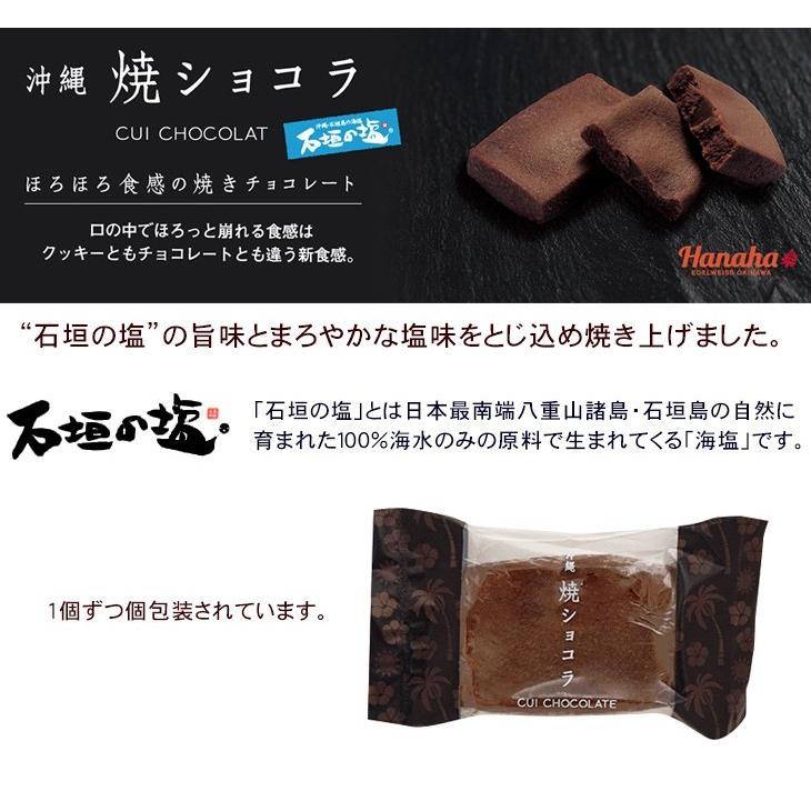 沖縄焼ショコラ 石垣の塩ショコラ 6個入｜e-okiko｜03