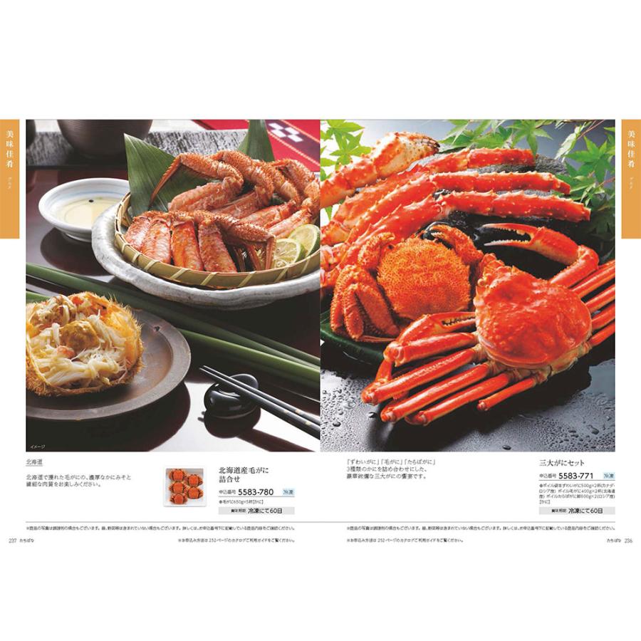 JTBカタログギフト50000円 発行元公式】カタログギフト 父の日 旅行 温泉 手提げ袋付 たびもの撰