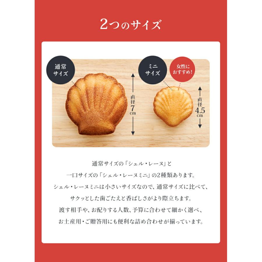 三重 お土産 ブランカ シェルレーヌ プレーン 15個｜三重土産 おみやげ