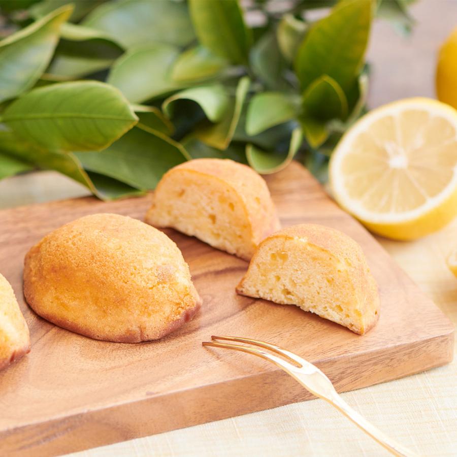 島ごころ 瀬戸田レモンケーキ 15個入り | 4,980円以上送料無料 広島