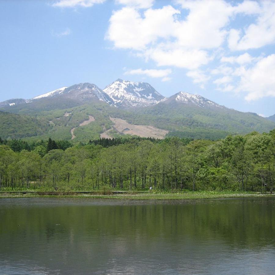 新潟 妙高酒造 純米大吟醸 妙高山  | 新潟土産 新潟のお取り寄せ 新潟 お土産 みやげ プレゼント ギフト 手土産 お礼 お取り寄せ｜e-omiyage｜05