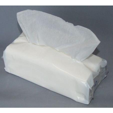 新発売の ホテル用詰替え ビニール包装 無地 エコ 外箱なし ごみ減 業務用ティッシュ 詰め替え用 徳用 400枚 500パック 1箱75円 税別 林製紙 100 本物保証 Www Gran Gusto It