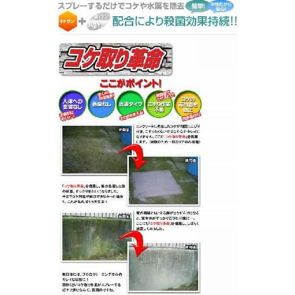 独創的 安心の送料無料 天然の抗菌剤 キトサンを原料 バイオのパワー 安心除菌 スバル コケ取り革命 業務用10リットル 9990円 税別 格安 Terrarioskarungen Cl