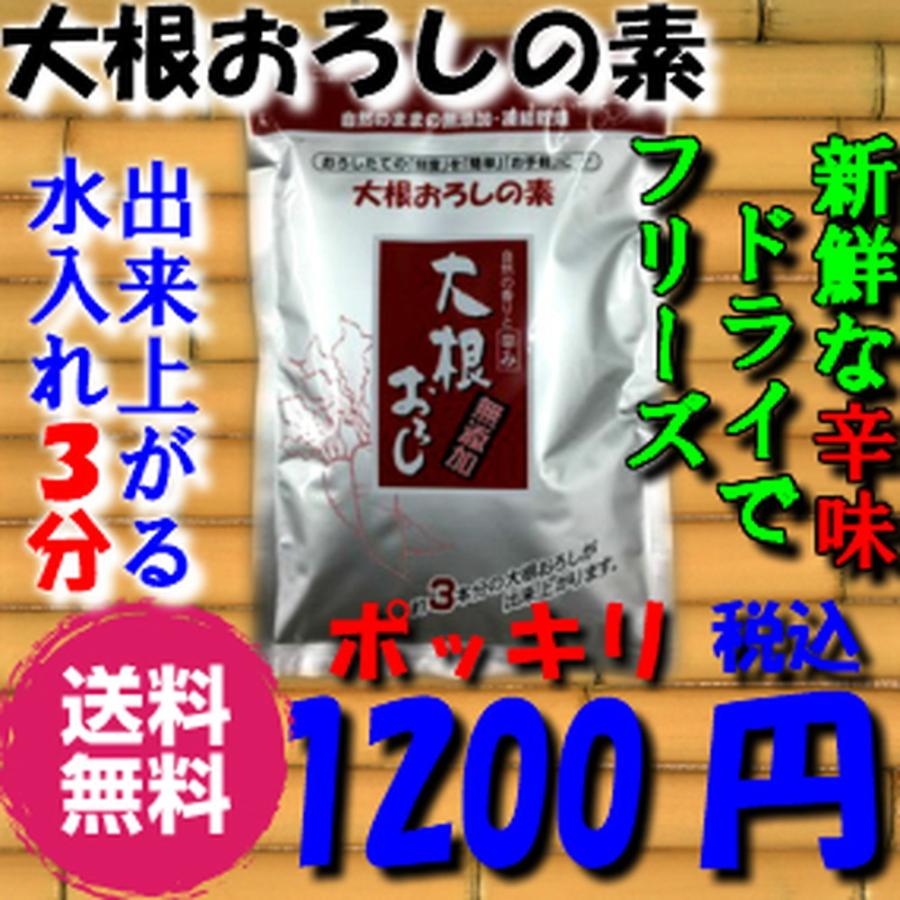 大根おろし の素【１００ｇ】簡単 大根 おろし 即席 業務用 お徳用 お手軽 FD フリーズドライ 乾燥 時短｜e-oro-c