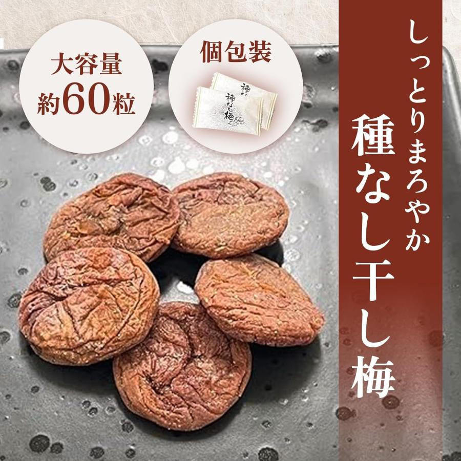 種無し 干し梅 個包装 塩分補給 熱中症対策 しっとりまろやか 送料圧縮