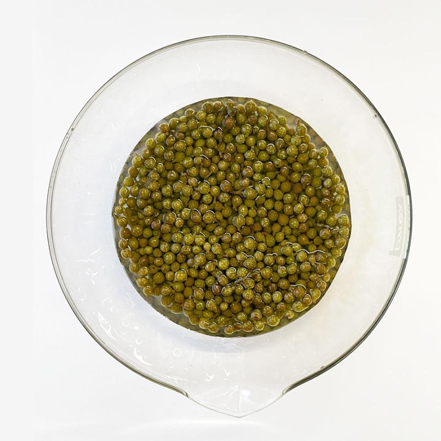 本場中国産 生の山椒の実 無添加 無農薬 実山椒 実さんしょ青山椒 さん