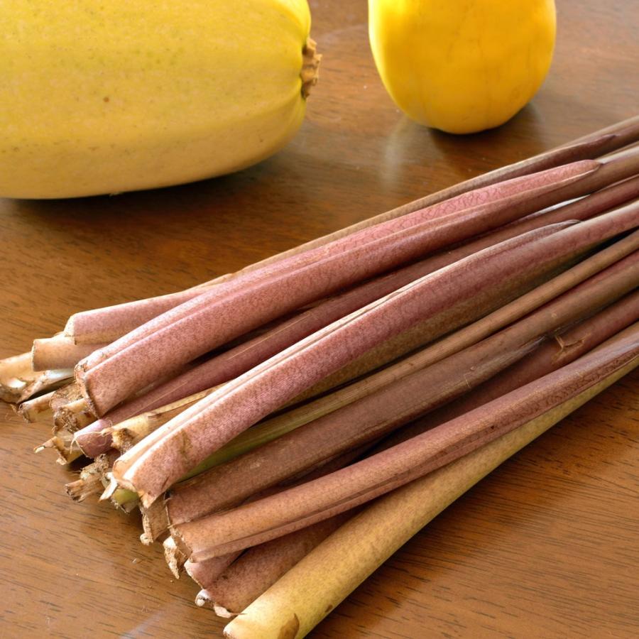 M29】芋茎 ずいき ズイキ ロング 1kg 食物繊維 たっぷり シャッキ