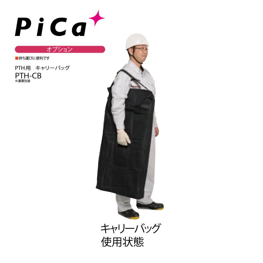 定番キャンバス 梯子 キャリーバッグ はしご 伸縮 ピカ