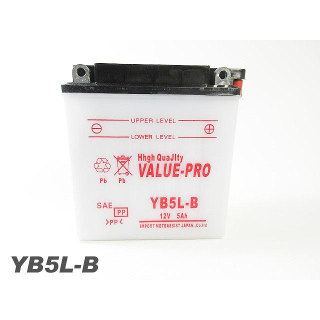 YB5L-B 開放型バッテリー ValuePro / 互換 FB5L-B TZR125 TZR250 1KT 2XT RZ250R TDR250 SRX-4 SRX-6 RZ125 XT400 XT600Z｜e-parts8028