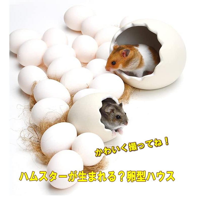 neikonu 卵型ハウス ホワイト neikonu 卵型ハウス ホワイト neikonu 卵型ハウス ホワイト