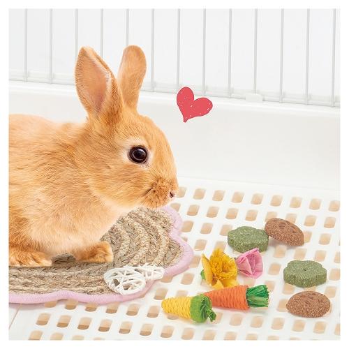 うさぎ・チンチラ・モルモットなどの小動物用おもちゃ ラビット