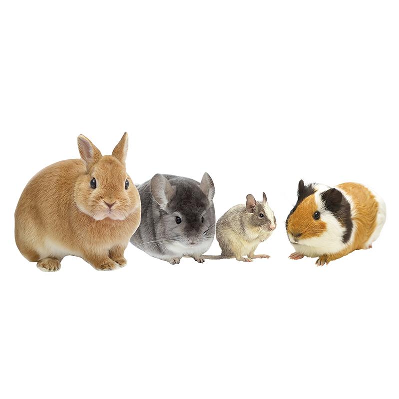 うさぎ・モルモット・チンチラ・デグーなどの小動物用牧草入れ