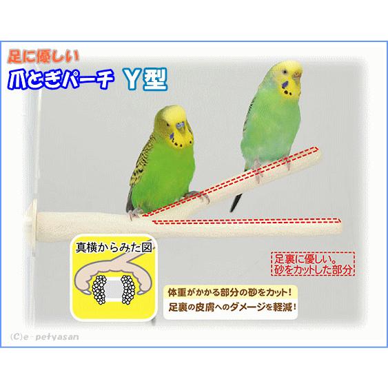 三晃商会]小鳥用サンドパーチ足に優しい爪とぎパーチ Y型 : 小動物