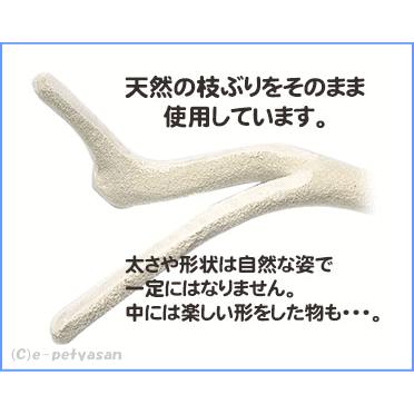 三晃商会]小鳥用サンドパーチ足に優しい爪とぎパーチ Y型 : 小動物