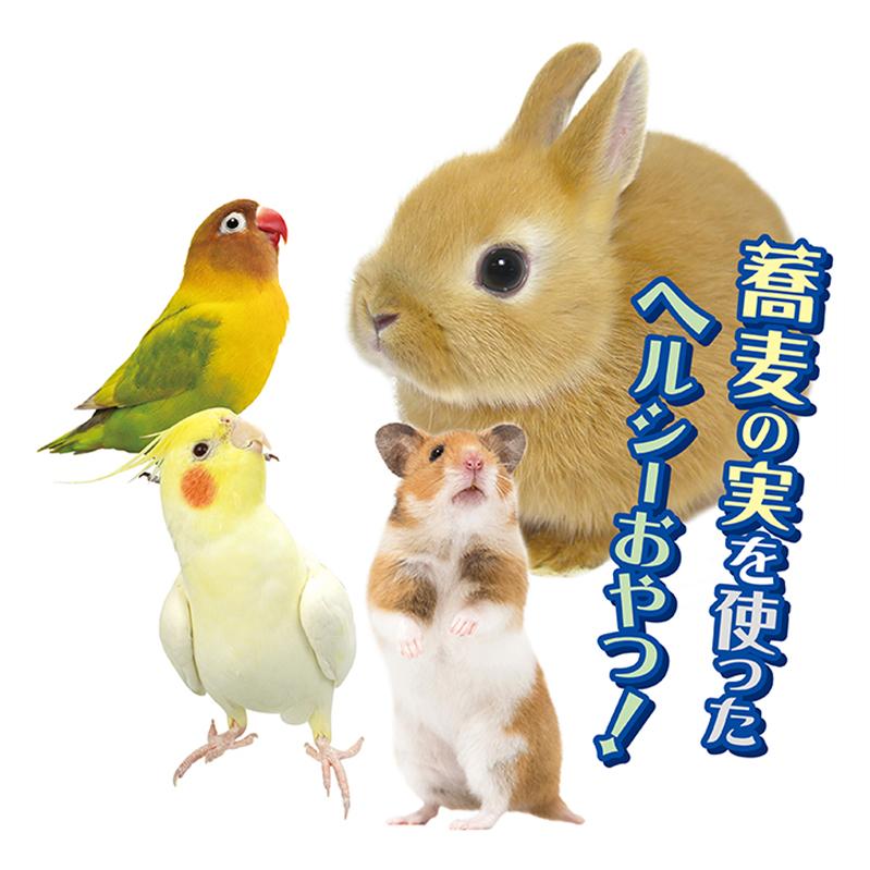 小動物・小鳥用おやつ！十割おそばスティック プレーン 三晃商会