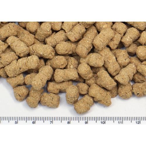 お買い得3個セット ファンシーラットの健康を支える自然派フード
