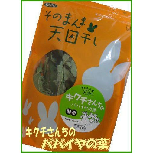 Kawai そのまんま天日干し キクチさんちのパパイヤの葉 Kikuthi 小動物用品専門店e ペット屋さん 通販 Yahoo ショッピング