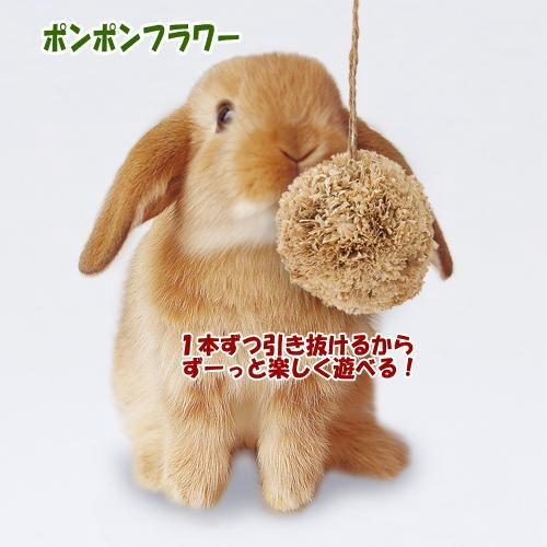 マルカン 天然素材使用の小動物用おもちゃポンポンフラワー Mr849 小動物用品専門店e ペット屋さん 通販 Yahoo ショッピング