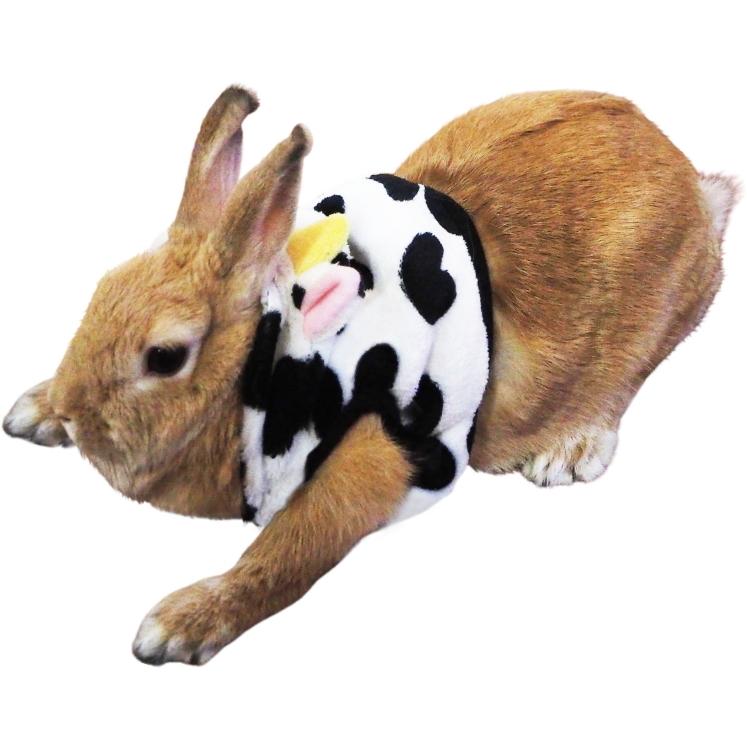 レインボー うさぎのハーネスウエアランランハーネスウエア うしさん リードは付属していません Ranran Harnesswear Usisan 小動物用品専門店e ペット屋さん 通販 Yahoo ショッピング