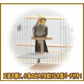 イージーホームバード40-ＢＲ（手乗り）　三晃商会　4976285082900_5